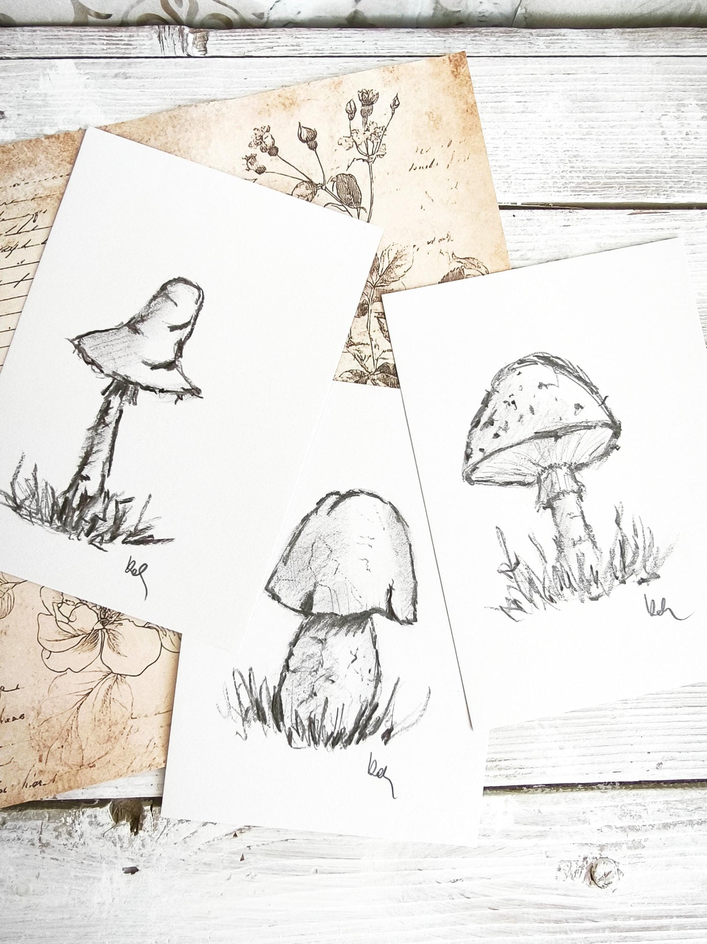 Original Charcoal Mushroom Drawing, Forest Woodland Nature Art, Porcini Sketch