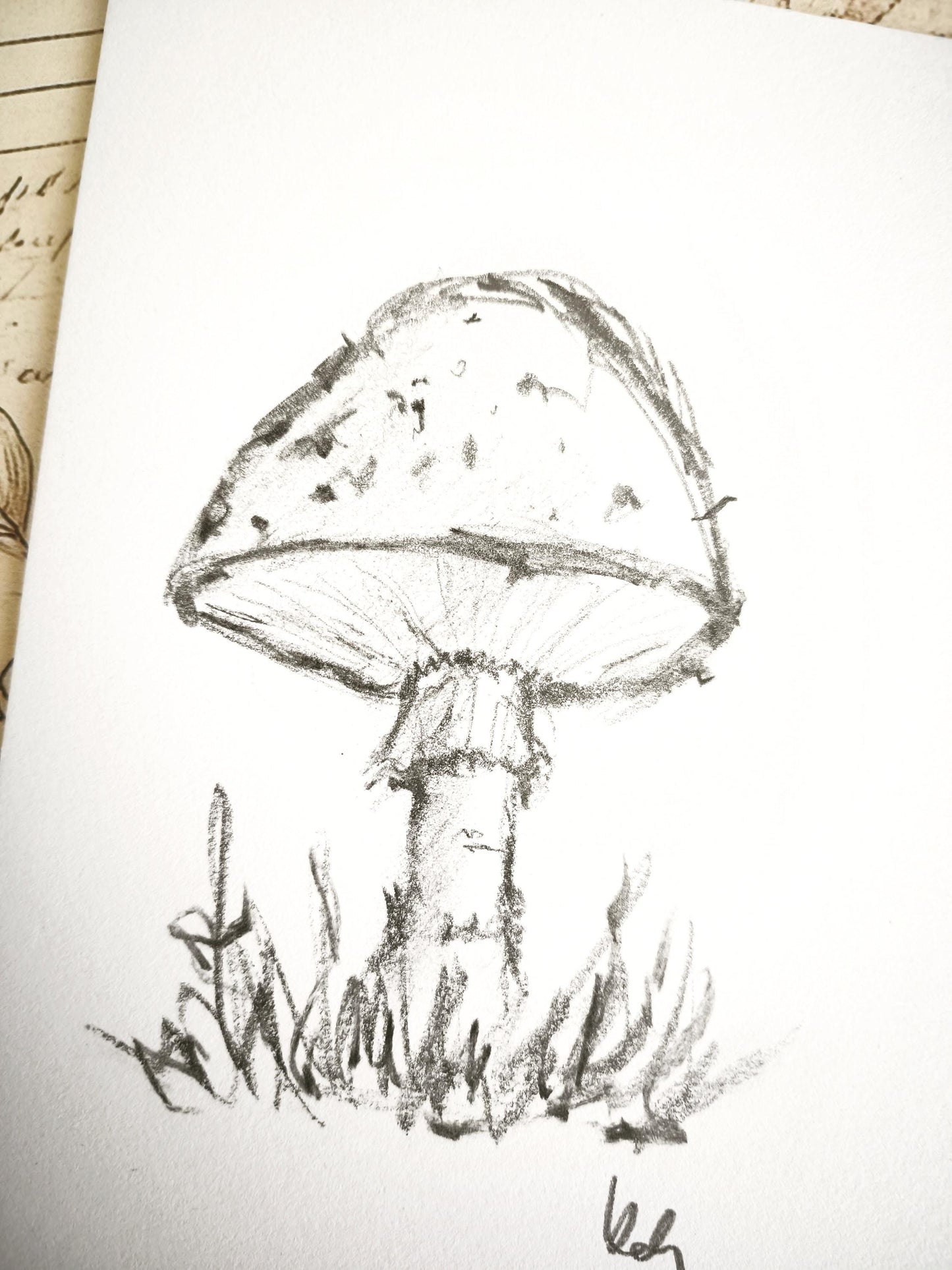 Original Charcoal Mushroom Drawing, Forest Woodland Nature Art, Porcini Sketch