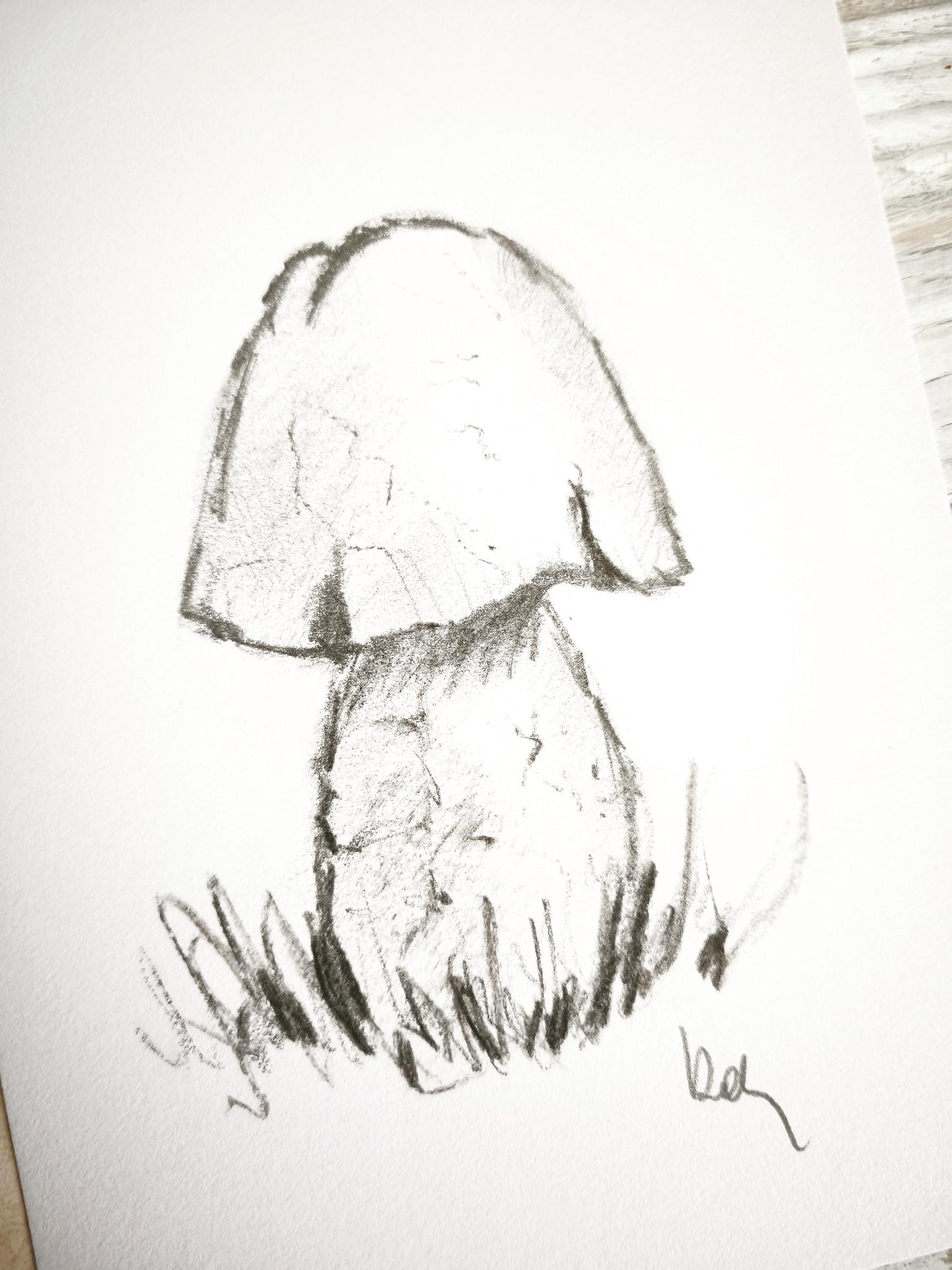 Original Charcoal Mushroom Drawing, Forest Woodland Nature Art, Porcini Sketch