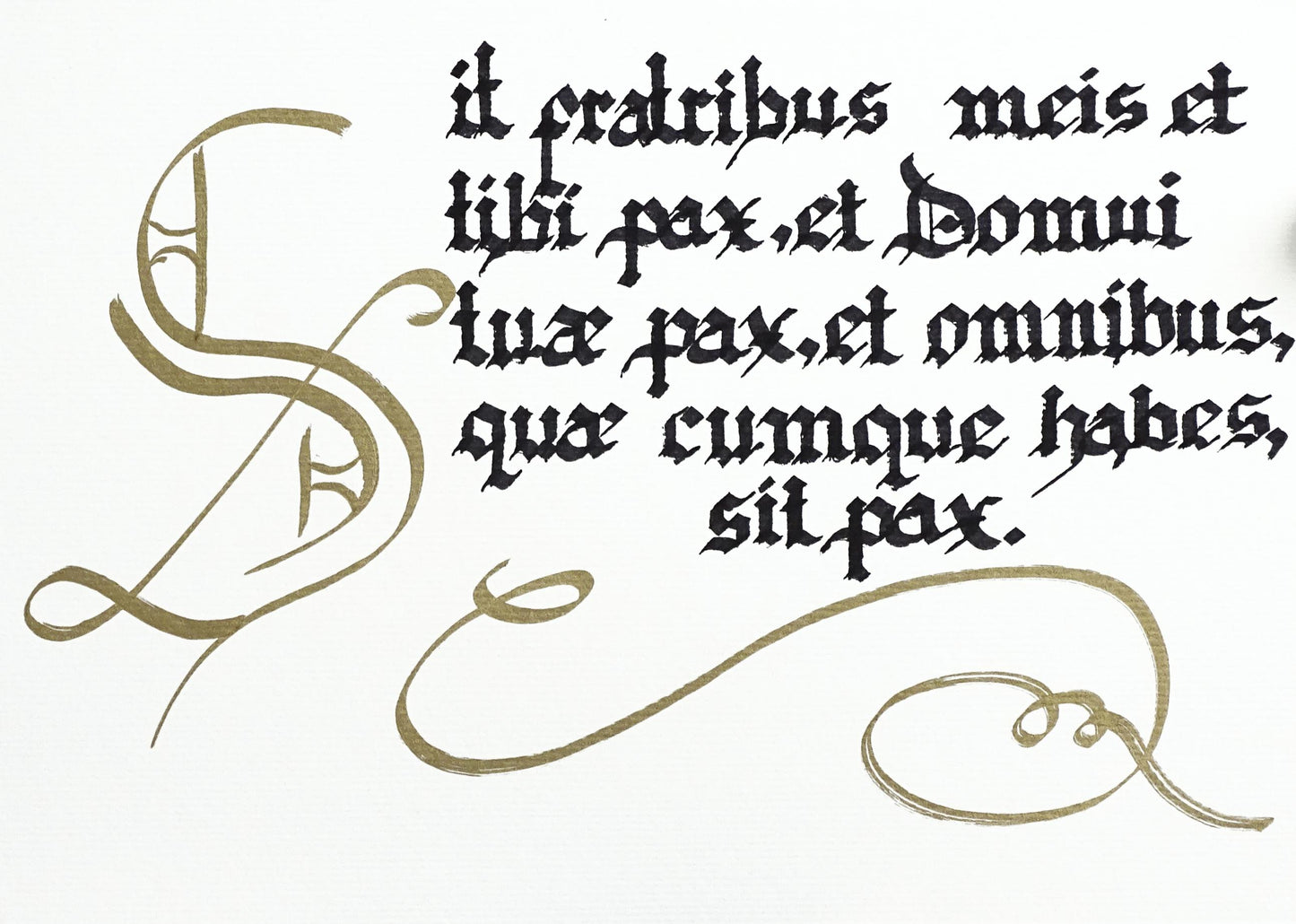 Original Artwork Hand Lettered Latin House Blessing: Gothic Calligraphy Ink Art