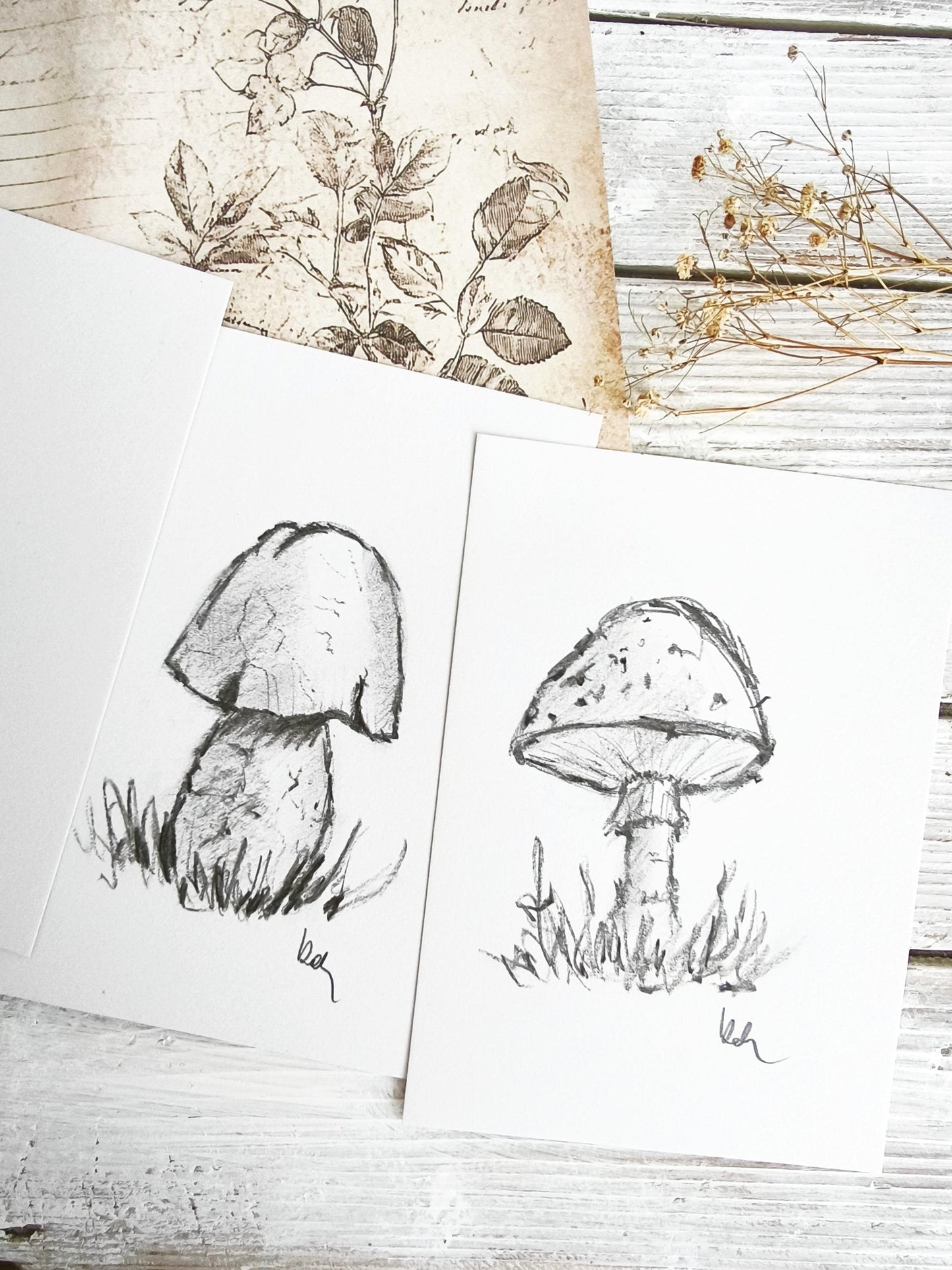 Original Charcoal Mushroom Drawing, Forest Woodland Nature Art, Porcini Sketch