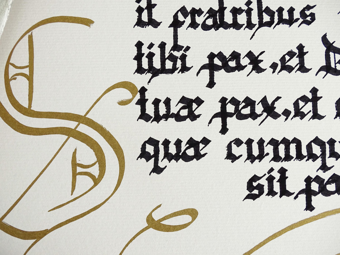 Original Artwork Hand Lettered Latin House Blessing: Gothic Calligraphy Ink Art