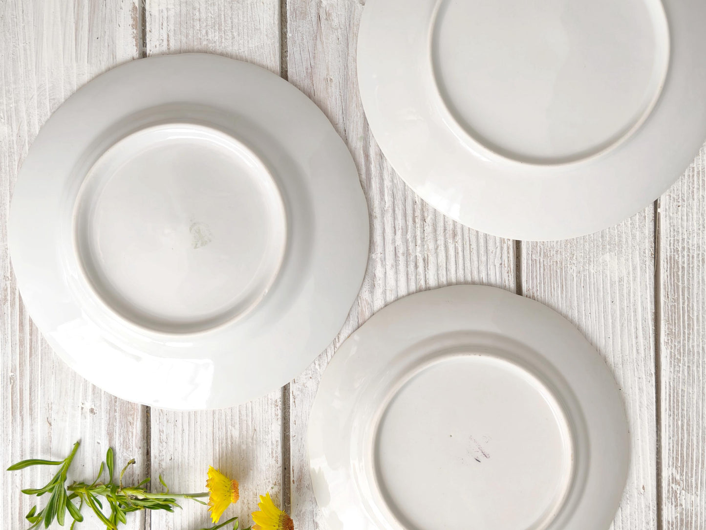 White Porcelain Bread Butter Plate with Gold or Silver Rim, Vintage China Small Side Serving Dish